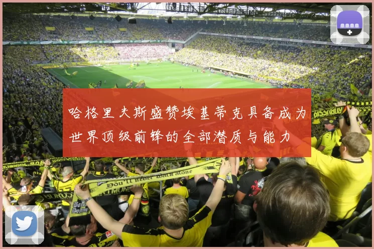 哈格里夫斯盛赞埃基蒂克具备成为世界顶级前锋的全部潜质与能力